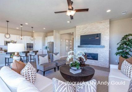 Mediamax-Andy Gould-24000-E-Tansy-Dr-Parker-CO-Family-Room-1