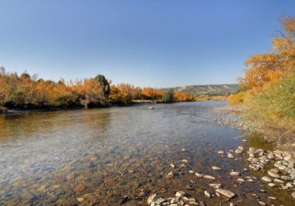 Mediamax-Mark Siegfried-12424 Gold Water Cir Salida Colorado-River-Photo-1